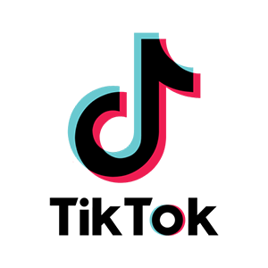 tiktok_vertical-logo_brandlogos.net_r6vmc-300x360